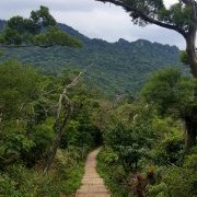 Chemine dans la Montagne de l'Eléphant