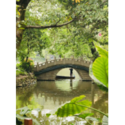 Pont ombragé