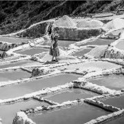 Fleur de sel