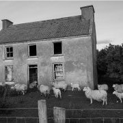La maison des moutons