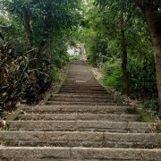 La montée des marches